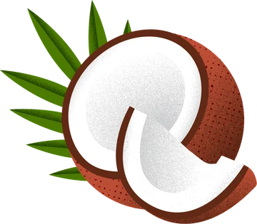 Coconut flavor icon