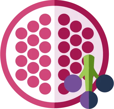 Pomegranate Acai flavor icon