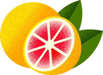 Grapefruit flavor icon