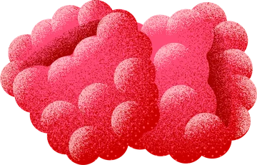 Raspberry flavor icon