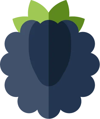Blackberry flavor icon