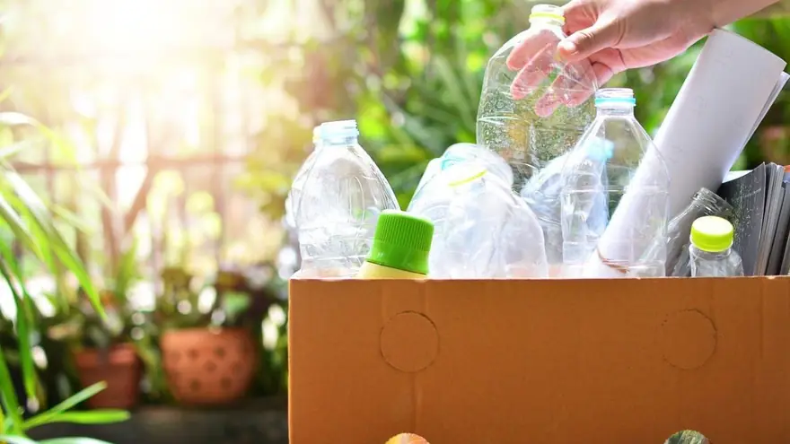 Plastic bottles collected for recycling beside greenery